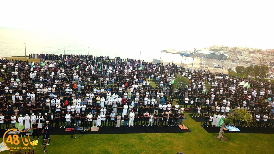 WhatsApp Image 2023-06-28 at 11.33.49 AM (1).jpeg